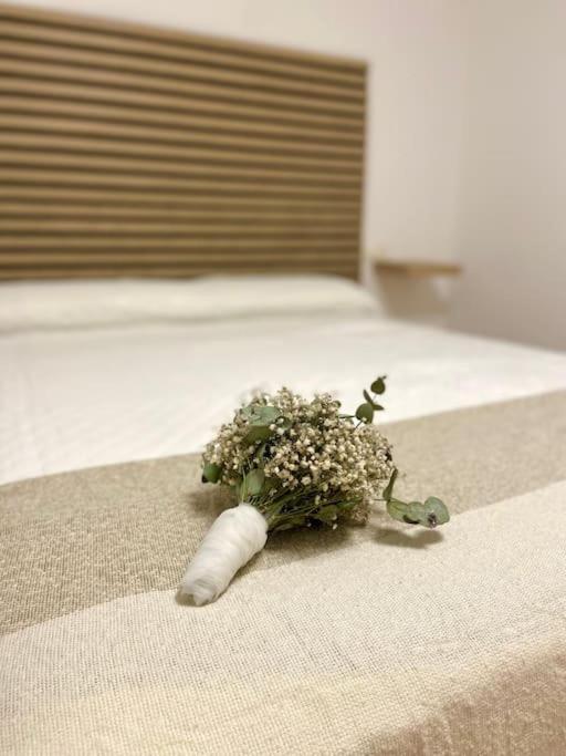 Apartamento Anden14 卡拉瓦卡·德·拉·克鲁斯 外观 照片